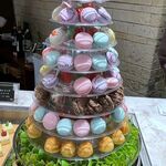 グランディア芳泉 - 