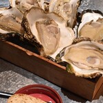 アルギュロス - 