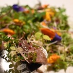 アルギュロス - 