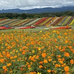 やくらい土産センター・山の幸センター - 