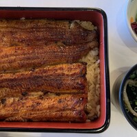 鰻割烹 伊豆栄 本店 -  鰻割烹 伊豆栄 本店 -