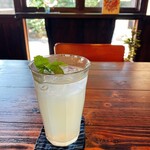 ふたつの彗星 - ハチれもジンジャー