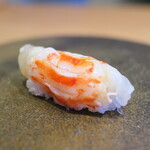 すし処 ひさ田 - 車エビはサッとレアで。