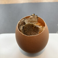 アルティザン ドゥ ラ トリュフ パリ - 