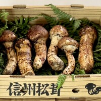 柚木元 - 