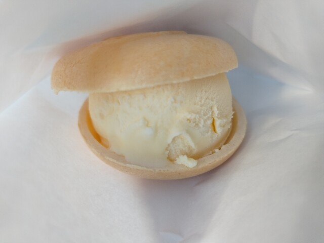 たこちゃんページ 51RgVqgrpHL._AC_UF350,