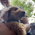 イート グッド プレイス - 