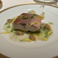 アピシウス - 尾長鯛の蕪蒸し　浅利のソース