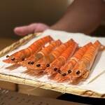 千葉たかおか - 車海老