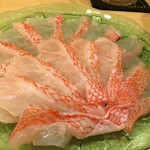 飛騨 - 冬きんき（キチジ）