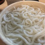 264287846 - 釜揚げうどん大（細）