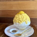 ヨリドコロヒヨリ - 