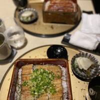 うなぎ 目白ぞろ芽 - 