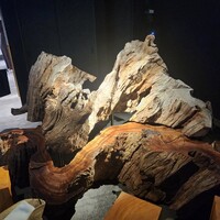 登喜和鮨 新発田本店 - 