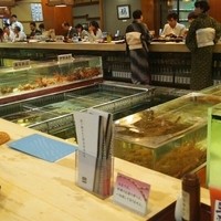 稚加榮 本店 - むやみにデカイ生け簀だよね
