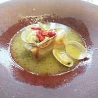GLICINE di ACQUA PAZZA - 