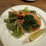 ビストロ カンパネラ - 