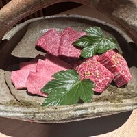 日本焼肉はせ川 表参道店 - 