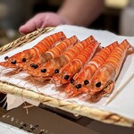 千葉たかおか - いつも見事な天然車海老は竹岡から。