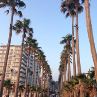 リストランテAO 逗子マリーナ - 