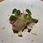 オステリア イル ガルボ - 