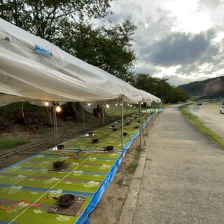 土居のいもたき_2