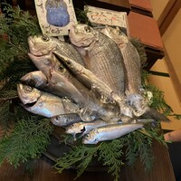 魚めし 竹亭 - 本日のお魚