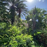 カフー リゾート フチャク コンド・ホテル - 