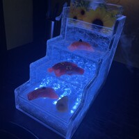 牛牛 西麻布 総本店 - 