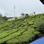 Cameron Valley Tea - 