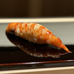 鮨 ゆうき - 車エビ