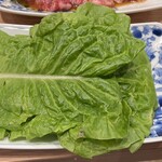 焼肉ホルモンざくろ - サンチュ280円