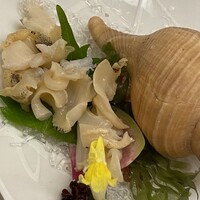 函館うに むらかみ 日本生命札幌ビル店 - 