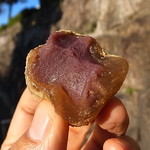 水っぽさ無き瑞々しさ