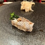 江戸心 山ぼうし - 