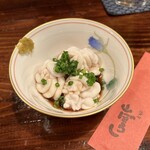 江戸心 山ぼうし - 