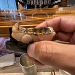 ブルペン - 秋刀魚