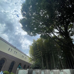 中華そば しば田 - 