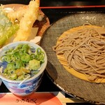 十割そば 門前茶屋かたたや - えび天ざるそば
