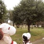 Matasaburo - お店は長居公園の近くにあるので、
      食後の腹ごなしに、公園をお散歩するのもいいよ。
      
      ♪おいっち、にぃ～おいっち、にぃ～♪