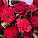 中華そば しば田 - 