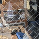 手焼せんべい くし田 - 