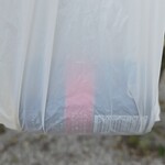 キッチン ブルー グローブ - 青森帰省のお土産をもらいました