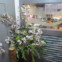 城見櫓 - 入り口の脇にも桜が飾られていました