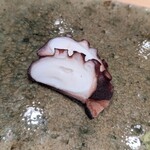 神田錦町 鮨たか晴 - 福井県の蛸の塩茹で