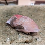 神田錦町 鮨たか晴 - 鯵