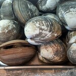 マルミ商店 - ホッキ貝です