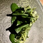 御舟宿　いろは - 