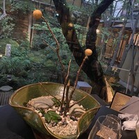 イノベーティブ フレンチ ワタハン - 