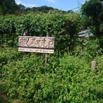 百姓屋敷 じろえむ - 駐車場はお店から少し離れた所にありますが、ここからお店迄、歩いていく道が最高